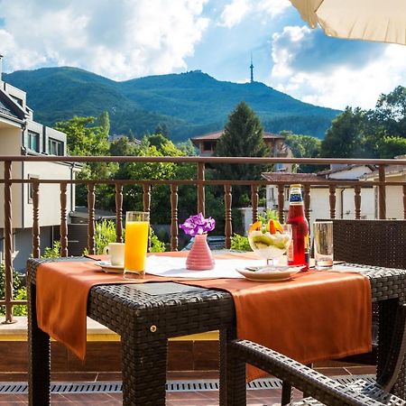 Hotel Villa Boyana - Free Parking Sofia Exterior photo
